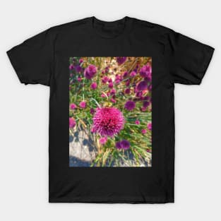 Allium Patient BEE T-Shirt